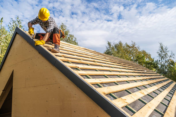 Best Roof Waterproofing Services  in Nicholson, GA