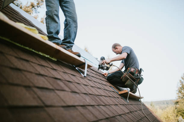 Best Residential Roofing Contractor  in Nicholson, GA